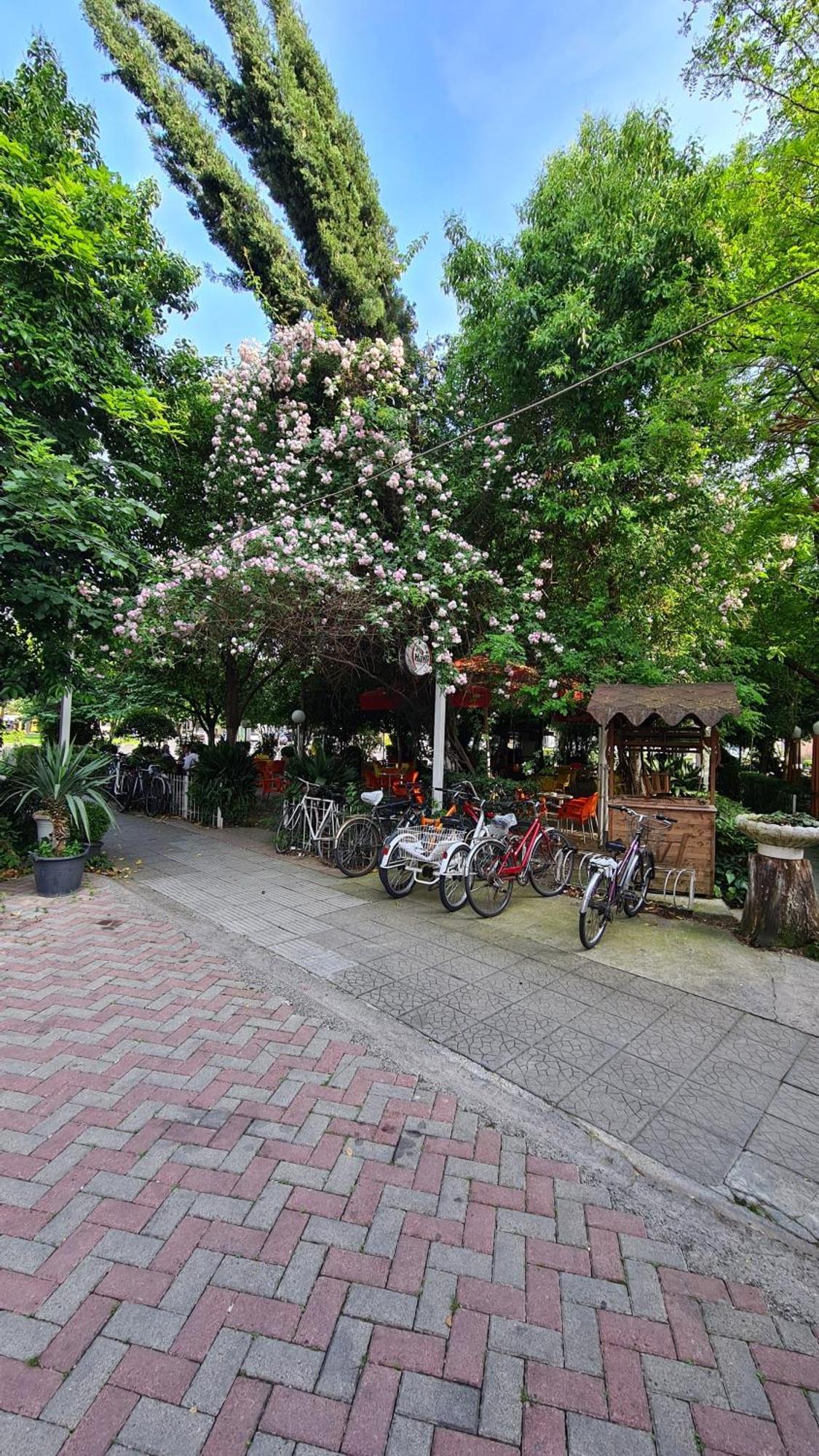 Dei Cozy Apartment Shkoder Luaran gambar