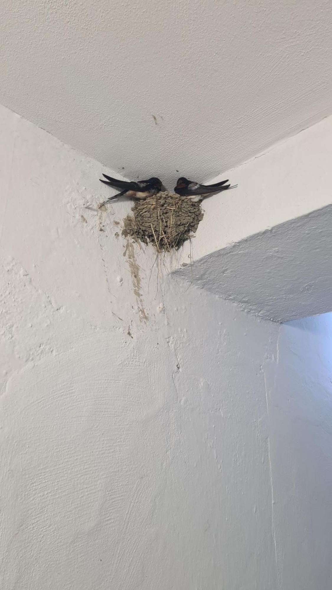 Dei Cozy Apartment Shkoder Luaran gambar